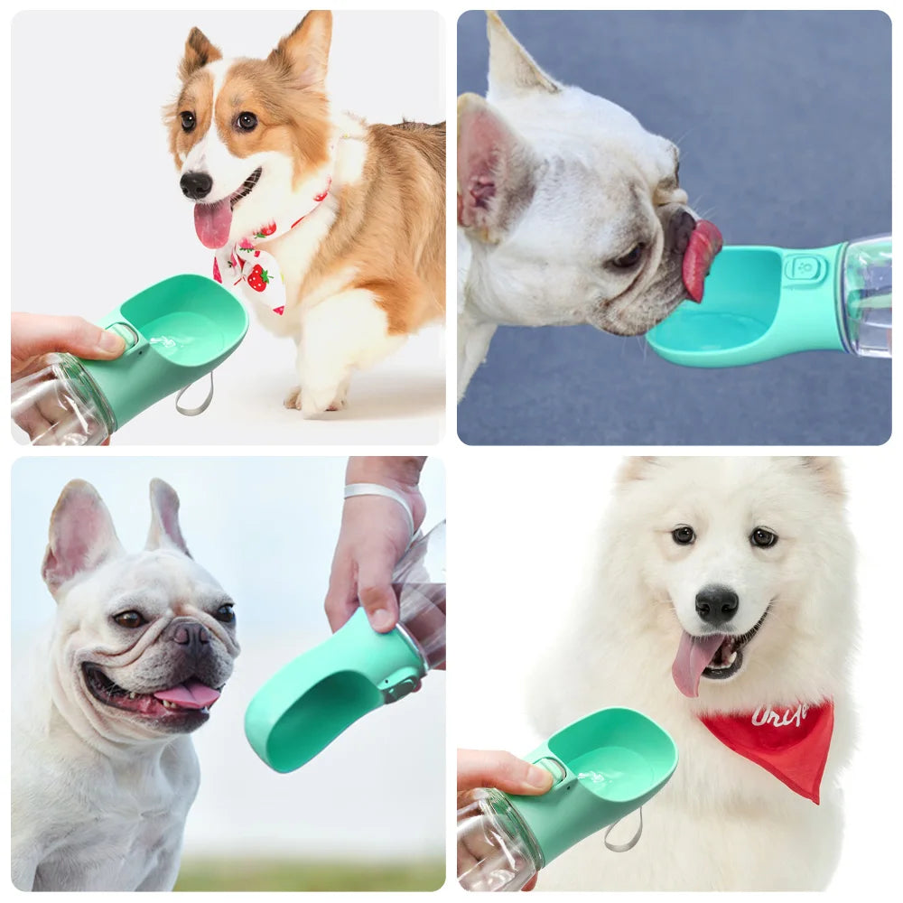 On-the-Go Dog Bottle