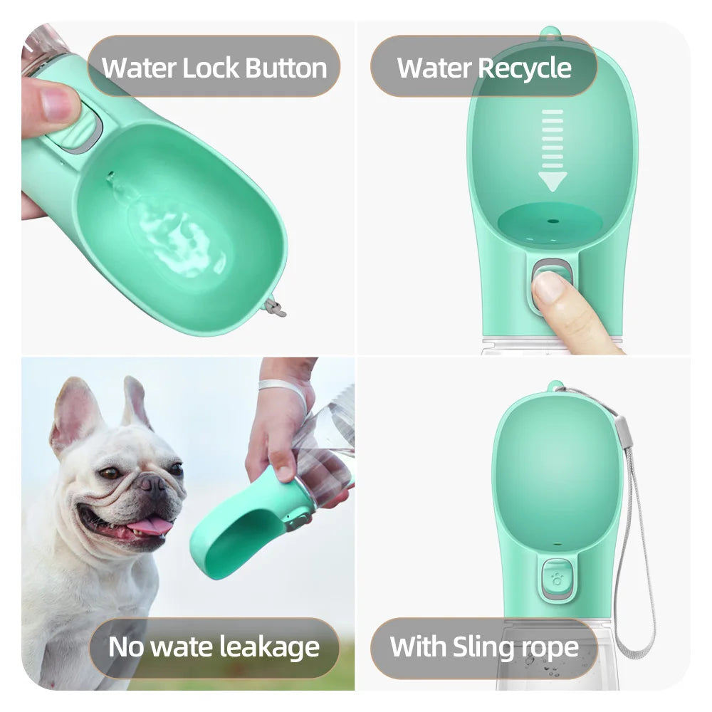 On-the-Go Dog Bottle
