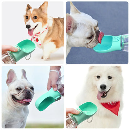 On-the-Go Dog Bottle